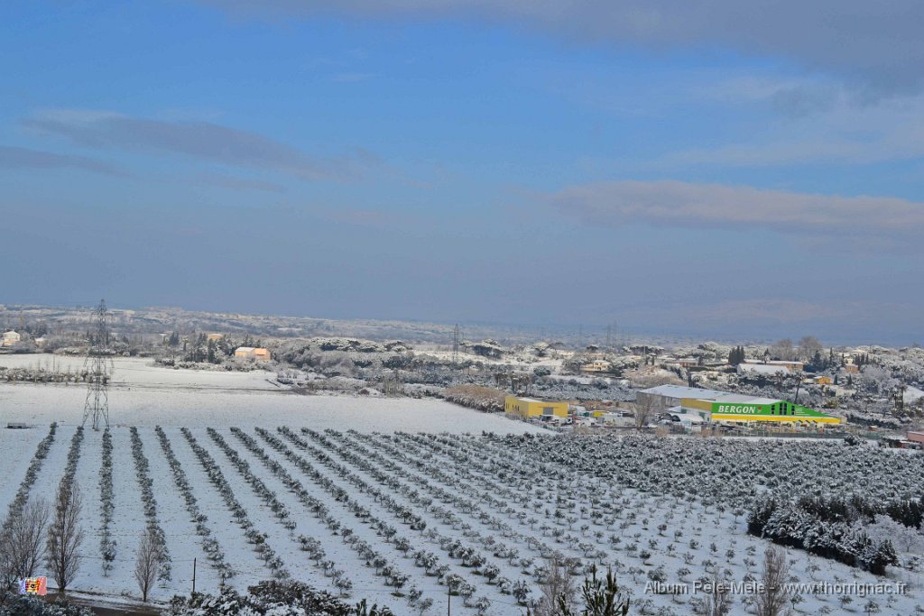 DSC 0005.JPG - Fréjus le 24 février 2013.